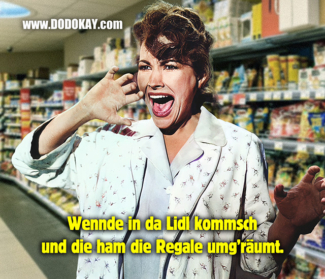 Dodokay Tarantula LIDL Regale Schock